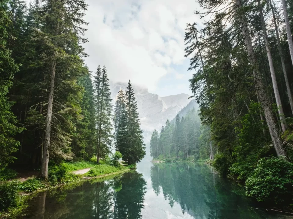 Photo of mountains, trees, and river.